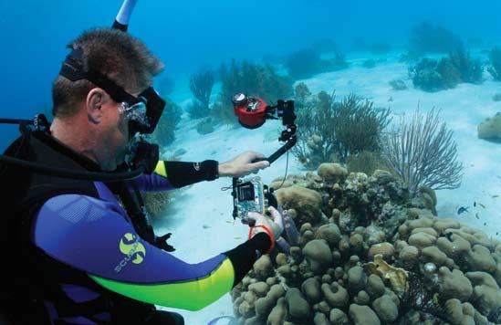 6. Promote environmentally-friendly photography and diving. Have your students put preservation of the underwater world ahead of getting good photographic results.