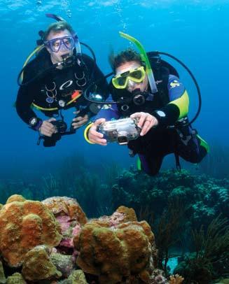 Supervision You may indirectly supervise certified divers and snorkelers. It is recommended, but not required, that buddy teams have a certified assistant accompany them.