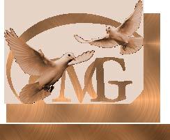 http://www.maersgoldman.com/ INFORMATION FOR BANQUET CHAIRMEN REGARDING THE ARGENTINA DOVE HUNT DONATED BY: MAERS & GOLDMAN This has been developed for charitable contributions.