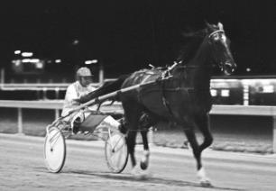 Binshaw earned a special place in WA Harness Racing as the first WA Bred winner of the Inter Dominion when he won in 1967 at Gloucester Park.