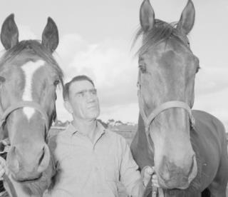 Frank Kersley s achievements as a trainer and a driver were recognised in the best possible way on 2nd September 1987, when he was inducted into the Western Australian Institute s Hall of Champions.