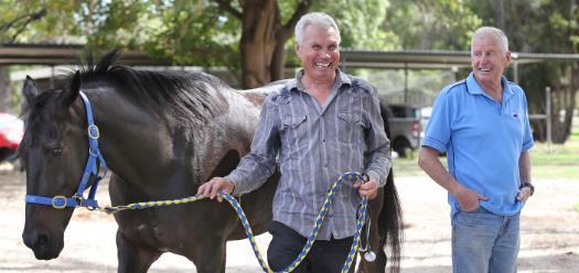 Gary Hal Snr has trained more than 2237 winners with more than 1580 of that total in Perth resulting in him heading the Perth Trainers Premiership on eight occasions.