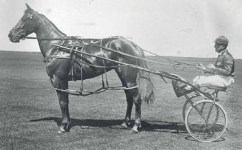 Her 19 wins in Perth included a WA Pacing Cup and in 1925 as a 14yo she won two heats of the inaugural Australasian Championship (fore-runner of the Inter Dominion).