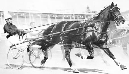 To that pool of fast-class talent was added the sensational speed machine Mount Eden. A horse that was years ahead of his time, Mount Eden remains the fastest horse seen in Australia.