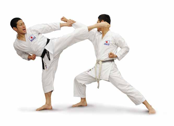 Karatedō About Karatedō Karatedo is an unarmed Japanese martial art that enjoys immense popularity all over the world.