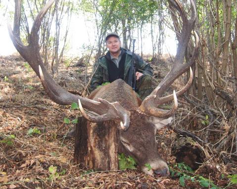 In January our Spanish client since many years, Pablo, had very good luck shooting an amazing Chamois buck which trophy was estimated with