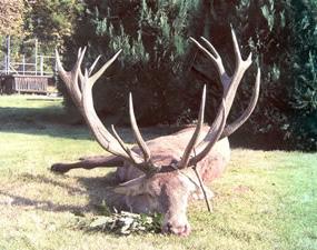 OUR TROPHY FOR YEAR 2004 The trophy of year 2004 is a is a gold medal awarded red stag and was