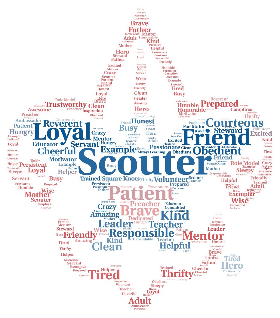 WHAT IS A SCOUTER?
