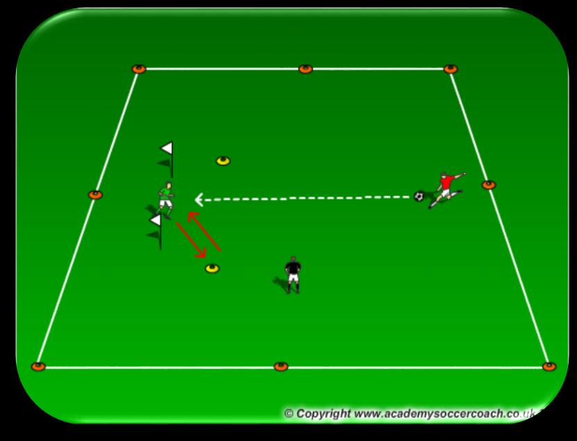 GK Shot Stopping & Recovery GK Shuffle, Set, Save Set up a goal 8 yards wide using cones, discs, flags, or poles.