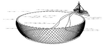 Appendix 1: The Main Tuna Fishing Gear Used in the Pacific Islands Region Gear Type Catch Typical