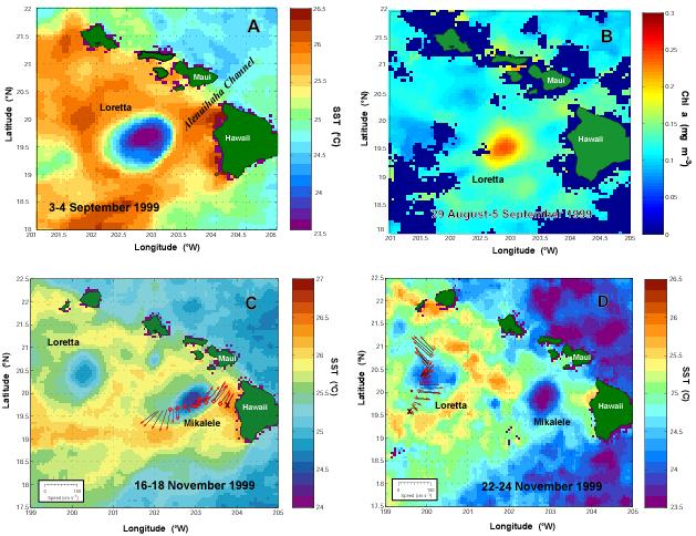 Satellite remote sensing of temperature (GOES-SST) and chlorophyll-a (SeaWiFS) for two Hawaiian eddies GOES SST In situ shipboard surveys Chl-a from SeaWiFS GOES: geostationary, ca.