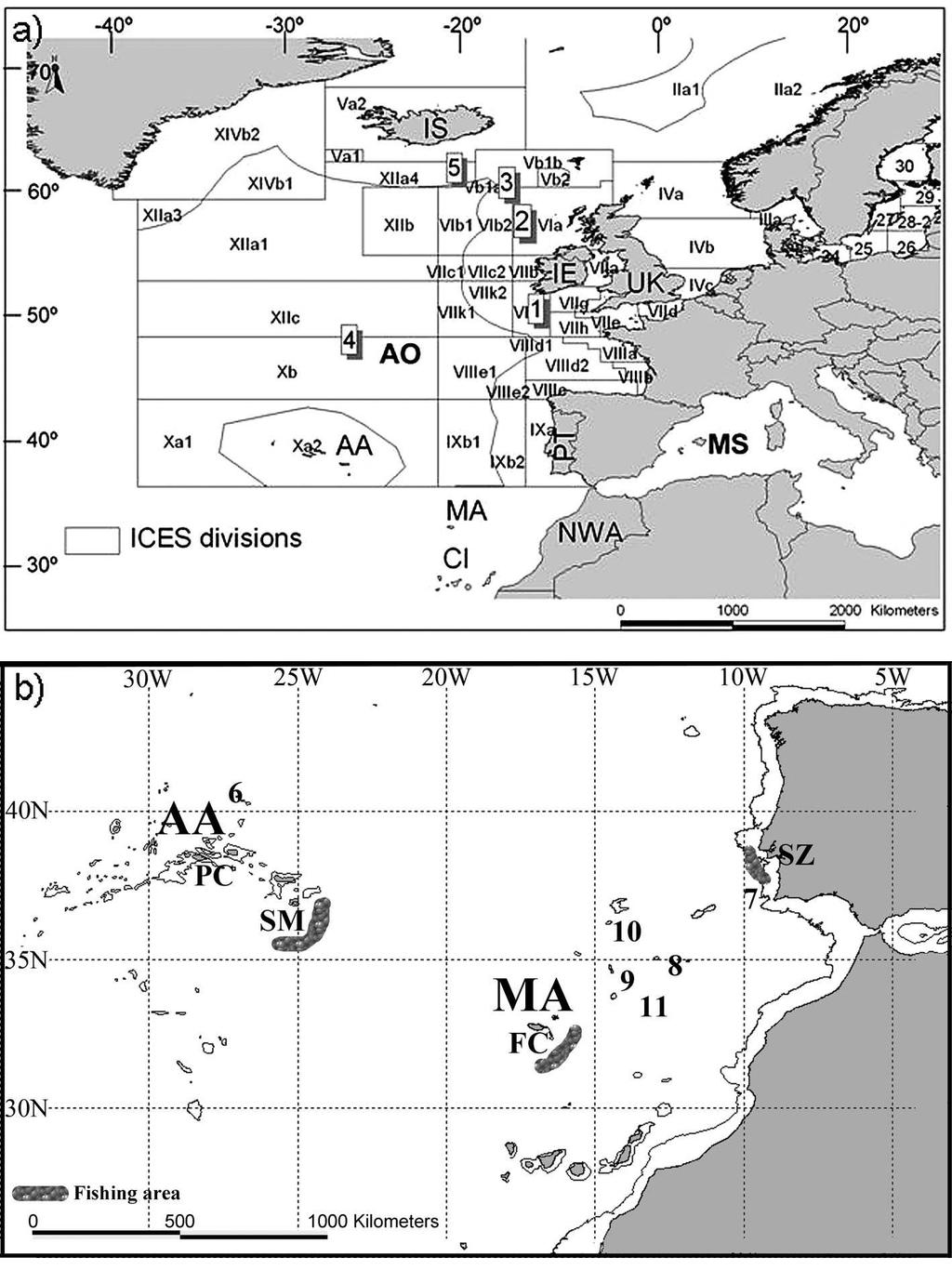 Fig. 6.5.1. a) Map of the northeast Atlantic with the ICES divisions and b) the southern northeast Atlantic with the sampling locations of black scabbardfish and the 1000 m isobath.