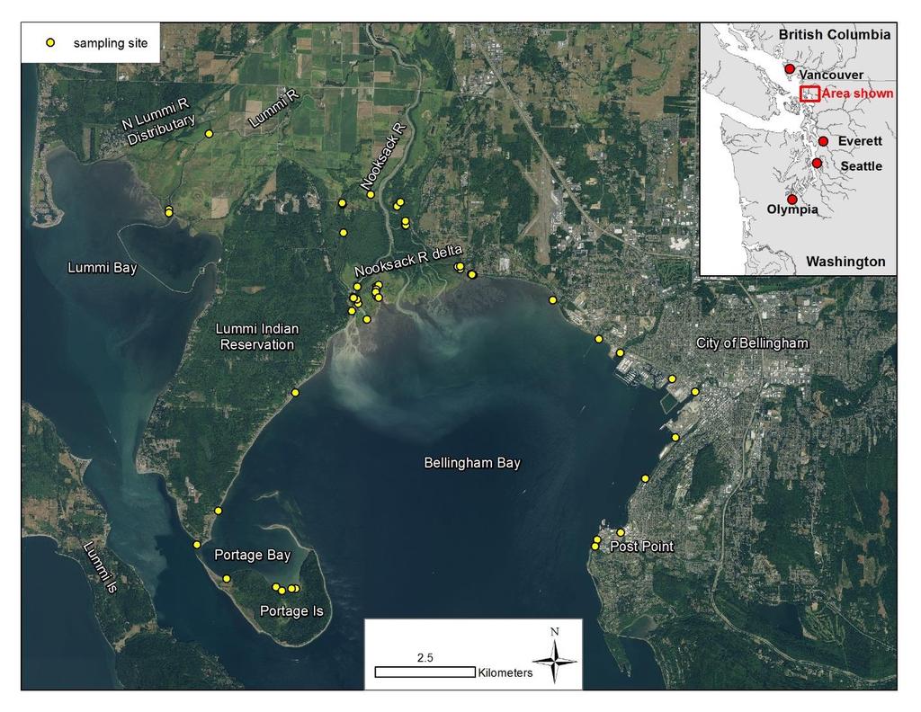 1.2 Location The geographic scope of this study includes an area encompassing the historic Nooksack tidal delta (including the tidally influenced portions of Lummi River and Lummi Bay) and the