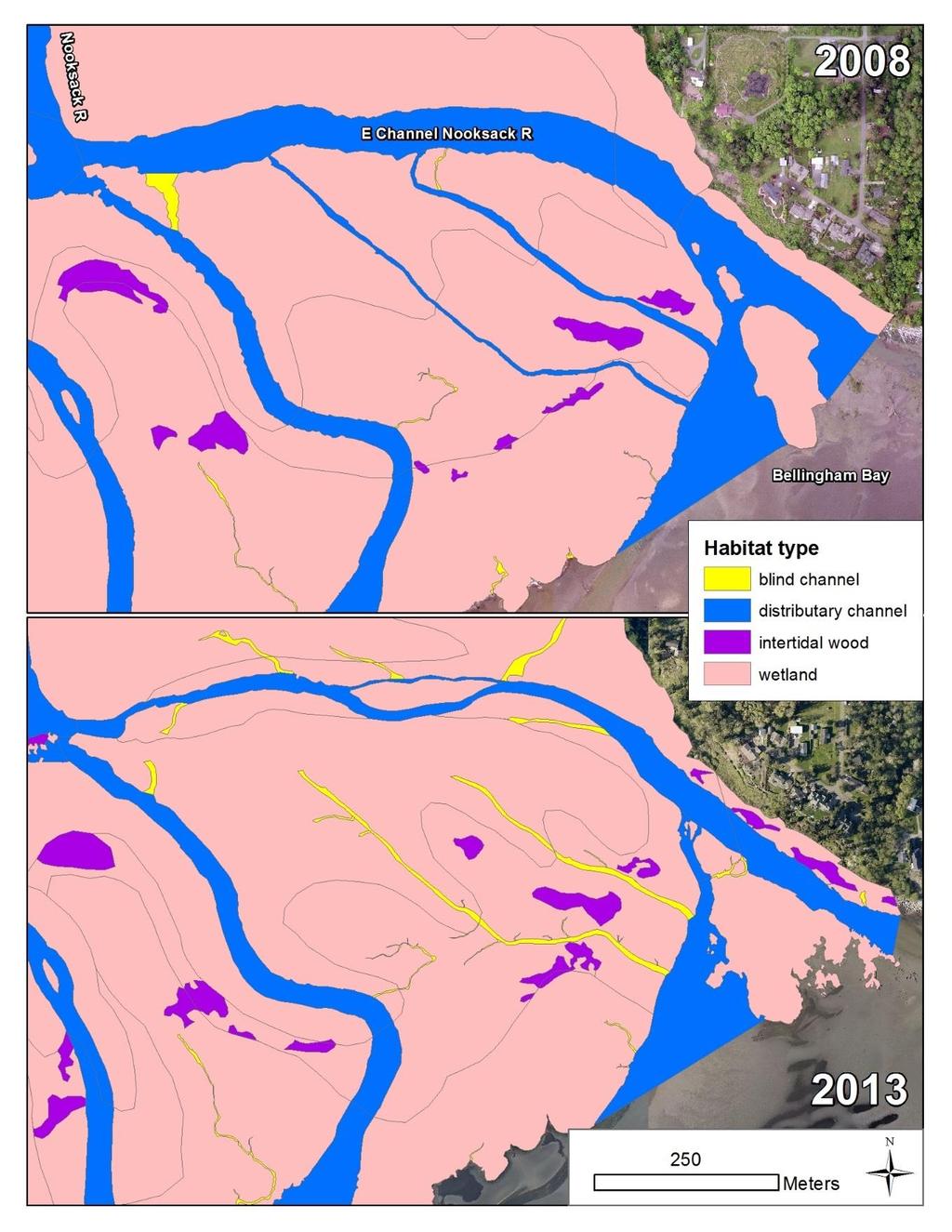 Figure 2.1.6. Detail showing habitat in the East Channel of the Nooksack River.