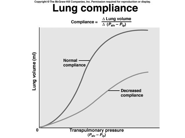 Fig not in book Determinants of Lung Compliance Stretchability Surface tension at air-water interfaces