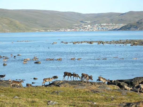 3.7 Inuit of Nunavik From the shores of Hudson Bay to the coast of Labrador, Nunavik Inuit of Nunavik have subsisted for millennia on the Ungava Peninsula and the seas that border it.