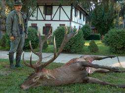 Prices 2016 Red Deer Hunting Season: Old, big Trophy Stag: 01.09.-31.10. Cull Stag: 01.09.-31.01. Hind, Hind Calf: 01.09.-31.01. Calf: 01.09.-28.02.