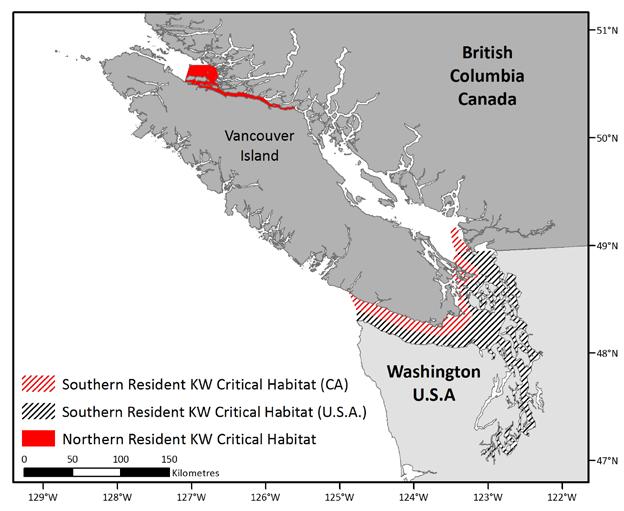 Figure 2. Designated critical habitats for Southern and Northern Resident Killer Whales.
