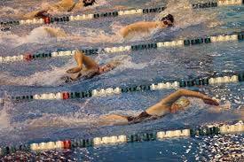 Freestyle What to look for: Any stroke(s) Any kick(s) Swimmer must touch the wall at each turn and at the