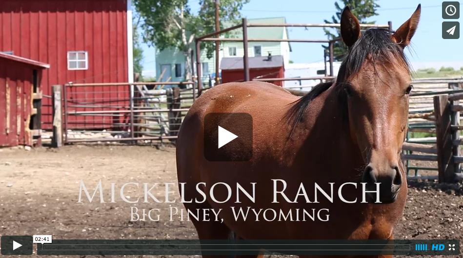 FEATURED VIDEO Mickelson Ranch Big Piney,