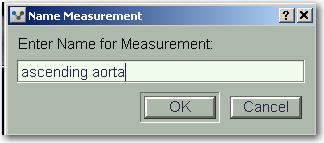 TAVR- Add New Measurements To add