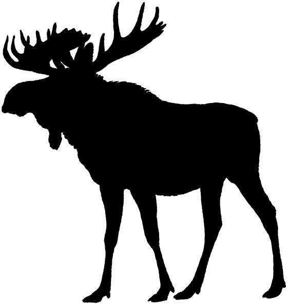 MOOSE TALES FEB. 2017 LOYAL ORDER OF MOOSE LODGE 1903 CHAPTER 2322 EDITORS NOTE February begins the nominating process for LOOM new board of officers. WE NEED YOU!