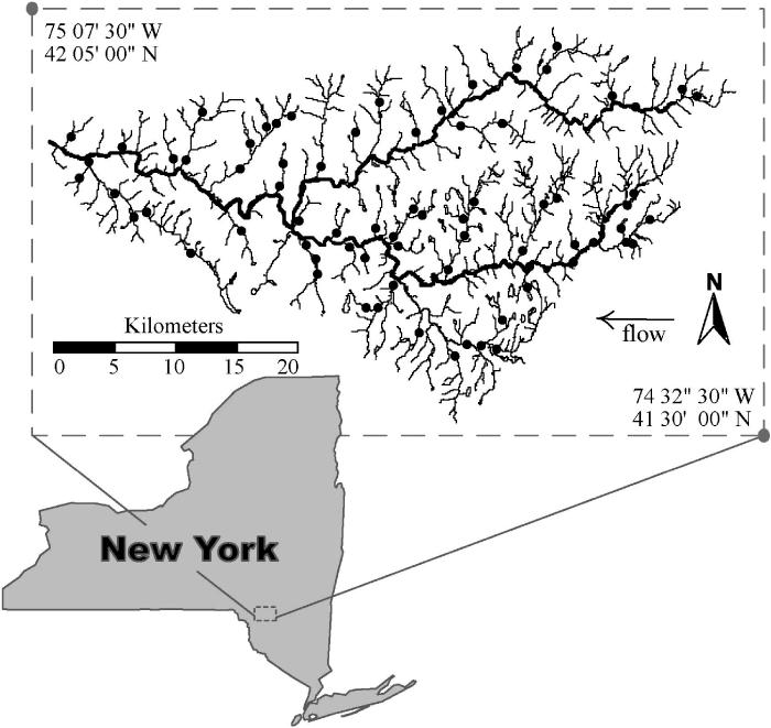 STREAM FISH ASSEMBLAGES 431 FIGURE 1. Map of the Beaverkill Willowemoc watershed in New York State.