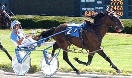 three-yearold pacing colt Table And Chair by Cam s Card Shark with Cat Manzi driving