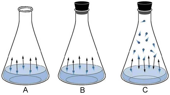 III. The diagram below shows three different flasks. The substance in the flasks is H 2 O. Match each description with the letter of the appropriate flask in the diagram.
