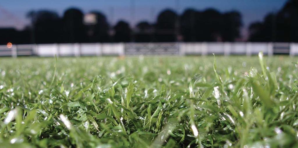 ARTIFICIAL GRASS PITCHES FOR RUGBY AND ASSOCIATION FOOTBALL PERFORMANCE STANDARDS AND DESIGN GUIDES FOR