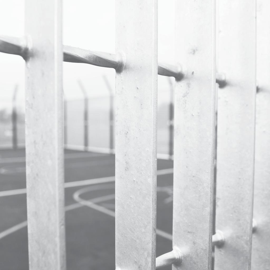 Fencing Systems We offer a range of fencing systems designed specifically for use in and around outdoor sports facilities.