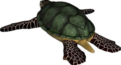 Animal Problem Solution Sea turtles are strong swimmers. A sea turtle cannot retract its head under its shell like a land turtle. If a sea turtle traveled 2.