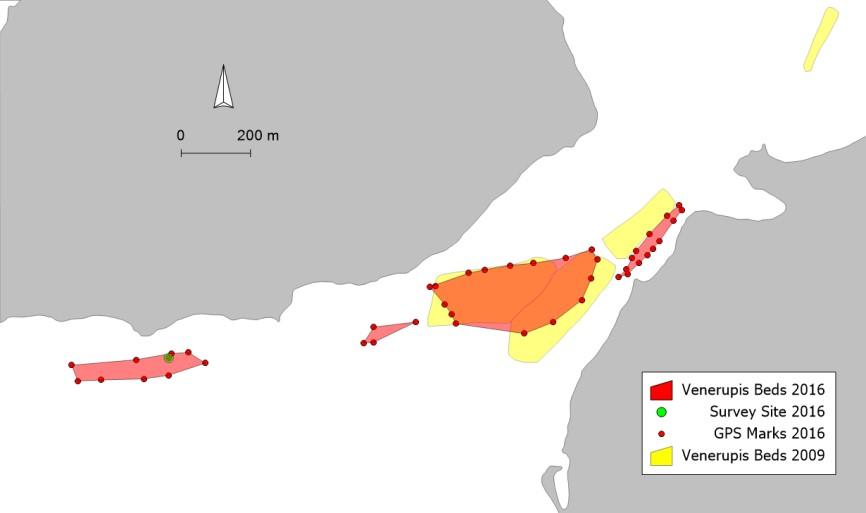 Figure 10. Map of Georges Bay V. largillierti beds from 2009 and 2016.