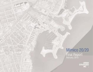 Mimico 20/20 Final Report