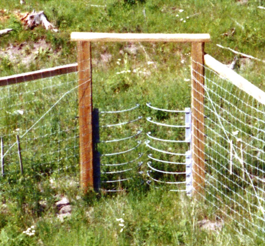 A typical one-way gate is constructed of two sets of curved tines that are mounted vertically on spring closed hinges.