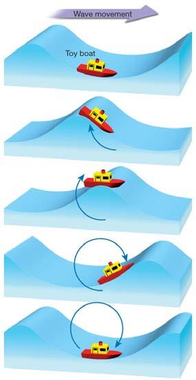 From Swell to Surf When bottom shallows to less than ½ wavelength, water can only move horizontally and vertically Velocity and