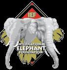 Weinstein Victoria Whipple Robert Wild Sandy Wolf Patricia Zych-Jamison Support the IEF Your donation can help make a world of difference The International Elephant Foundation* is dedicated to