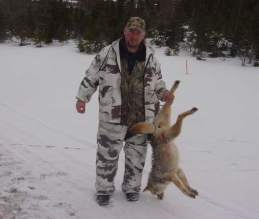 A specific coyote hunting licence. This licence is designed for those persons with an express intent on hunting coyotes.