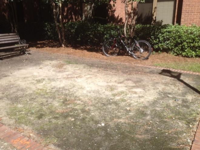 27 College of Charleston: Assessment of Campus Bike Parking McAlister Hall residents.