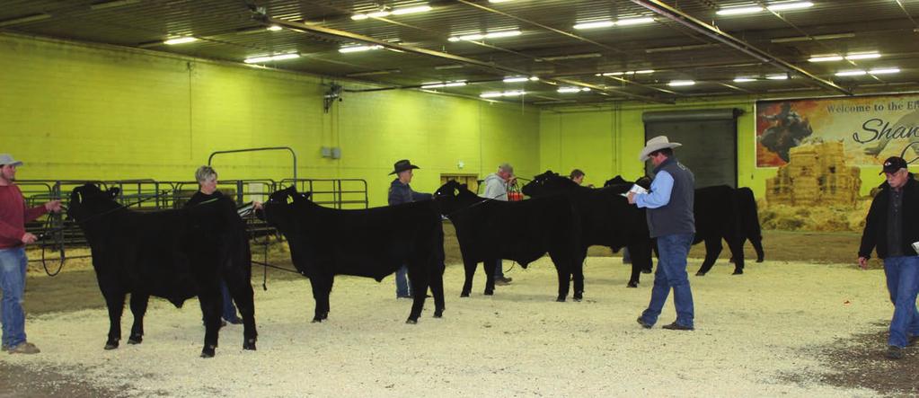 Sale Location: The cattle will be on display at the sale site held at the Exhibition Center on the Campus of the College of Southern Idaho, Twin Falls, Idaho.