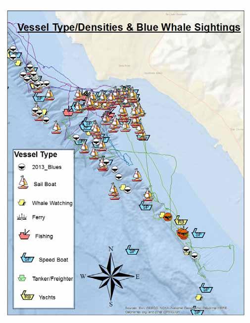 Objective 3: Vessel Disturbance Vessel interactions with marine mammal can result in animals experiencing high stress levels, changes in behavior including reduction in feeding or other essential