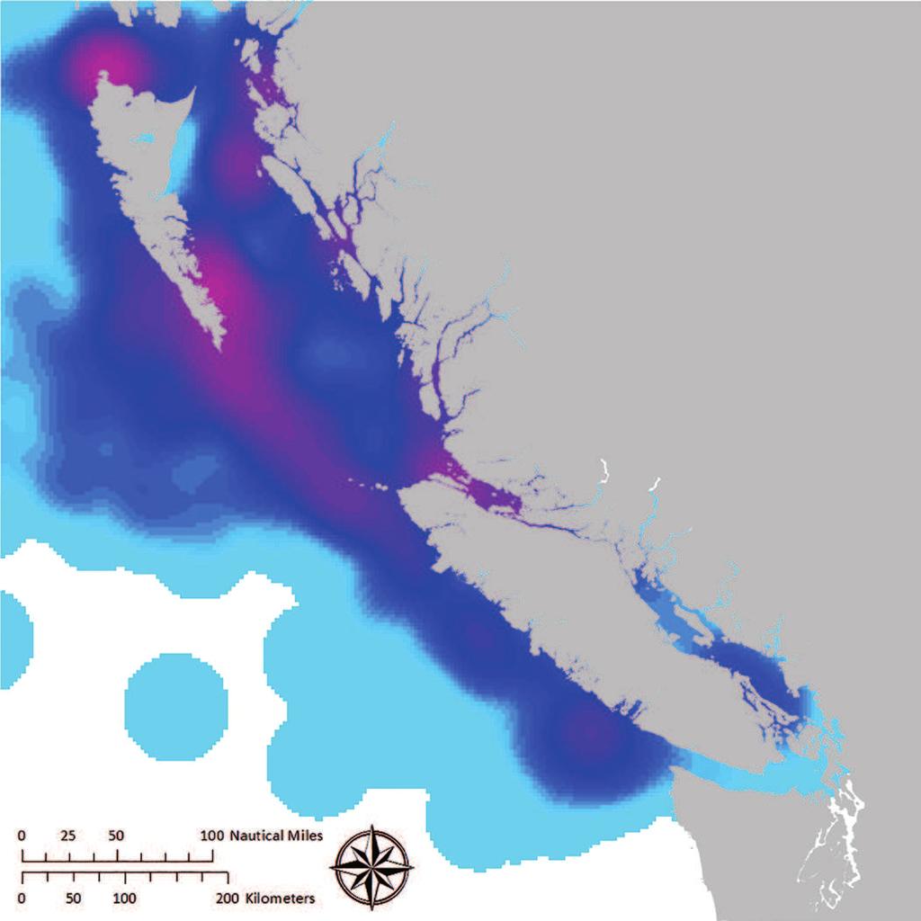 Relative Abundance of Cetaceans in B.C. Waters These maps highlight cetacean hotspots.