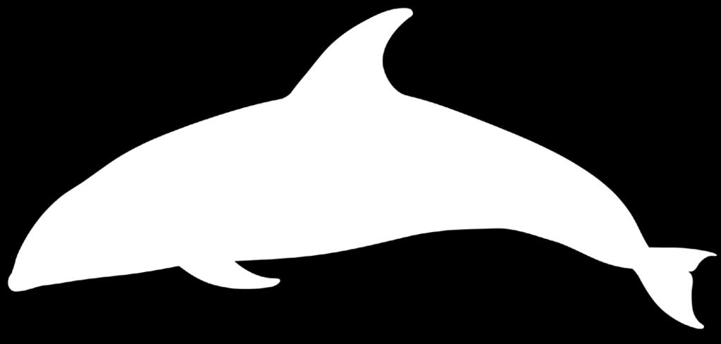 PACIFIC WHITE-SIDED DOLPHIN Lagenorhynchus obliquidens Average Adult Length: 2.5 m / 8 ft COSEWIC Status 1990 Dorsal Fin Grey and white bi-coloured, very curved, located in the middle of the back.