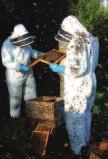 How to control varroa infestation The aim of varroa control The fundamental aim of varroa control is to keep the mite population below the level where harm is likely, (known as