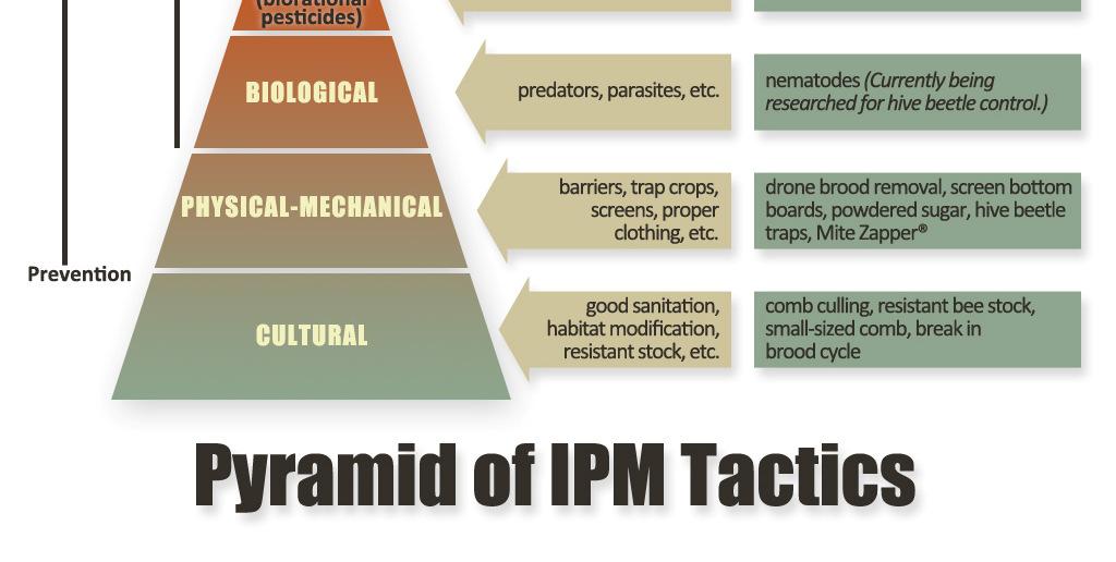 IPM is a set of proactive, nonchemical and chemical methods that offers beekeepers