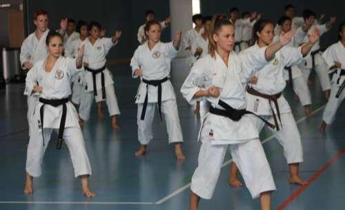* Shoshin Nagamine, The Essence of Okinawan Karate-Do, Charles E. Tuttle Company, Inc.