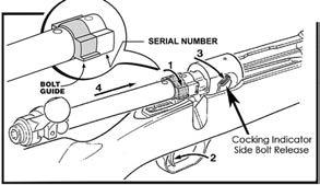 1. Remove the magazine prior to reassembling the stock. 2. Place the action onto the stock, being careful to align the trigger with the trigger slot in the stock. 3.