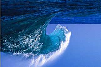 A wave is "energy on the move." In an ocean wave, does the water move forward?