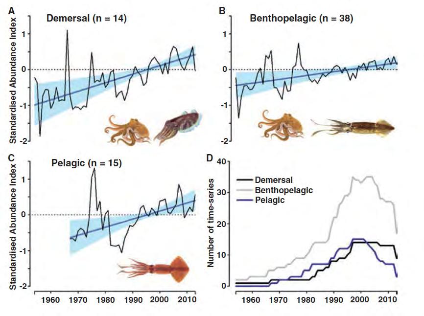 Current Biology Global Squid Management is not in