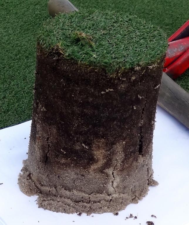 Page 4 of 9 Core Aeration: One of the most important issues discussed last year was organic matter accumulation on the putting greens at Pelican Preserve.